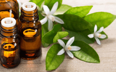 Aromathérapie pour toute la famille Mar 14/10/2025